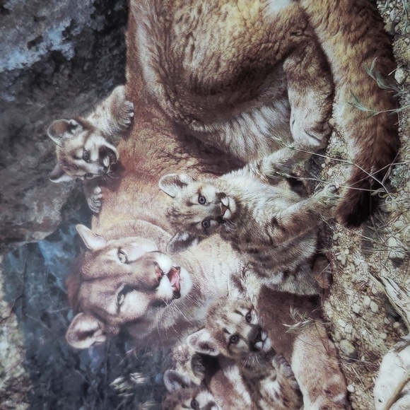 Bundle Bradford Exchange Carl Brenders "A Family Affair" plates bundle of 2 - Picture 5 of 7